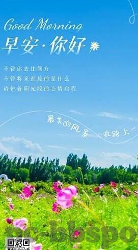 德州扑克毒王dawn-德州扑克毒王dawn，策略与智慧的碰撞